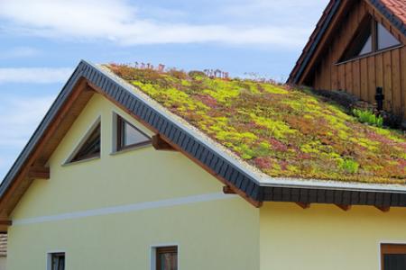 Frequently Asked Questions About Green Roofing