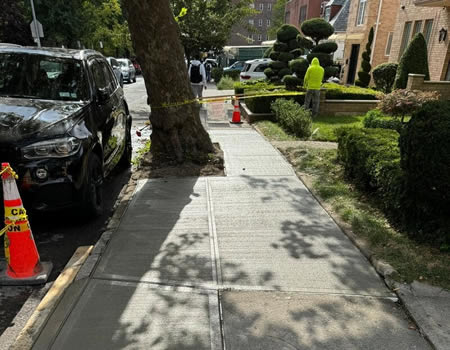 When and How NYC Parks Fix Sidewalks Damaged by Trees